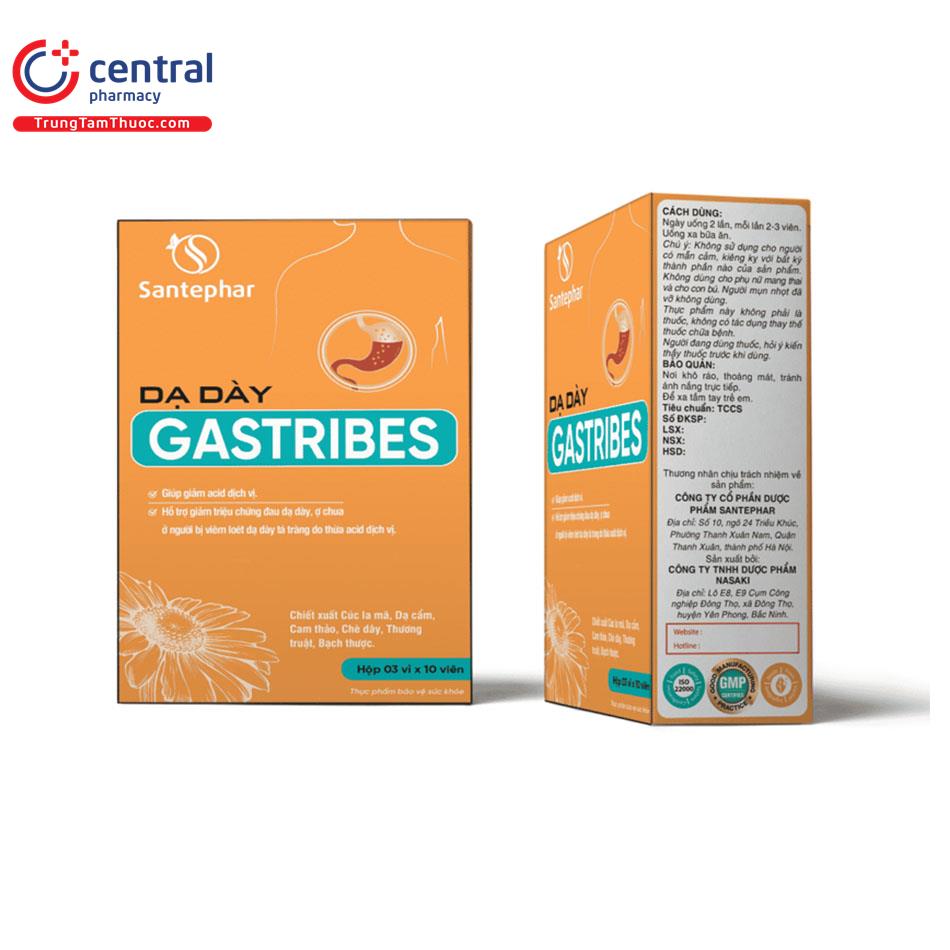 da day gastribes S7363