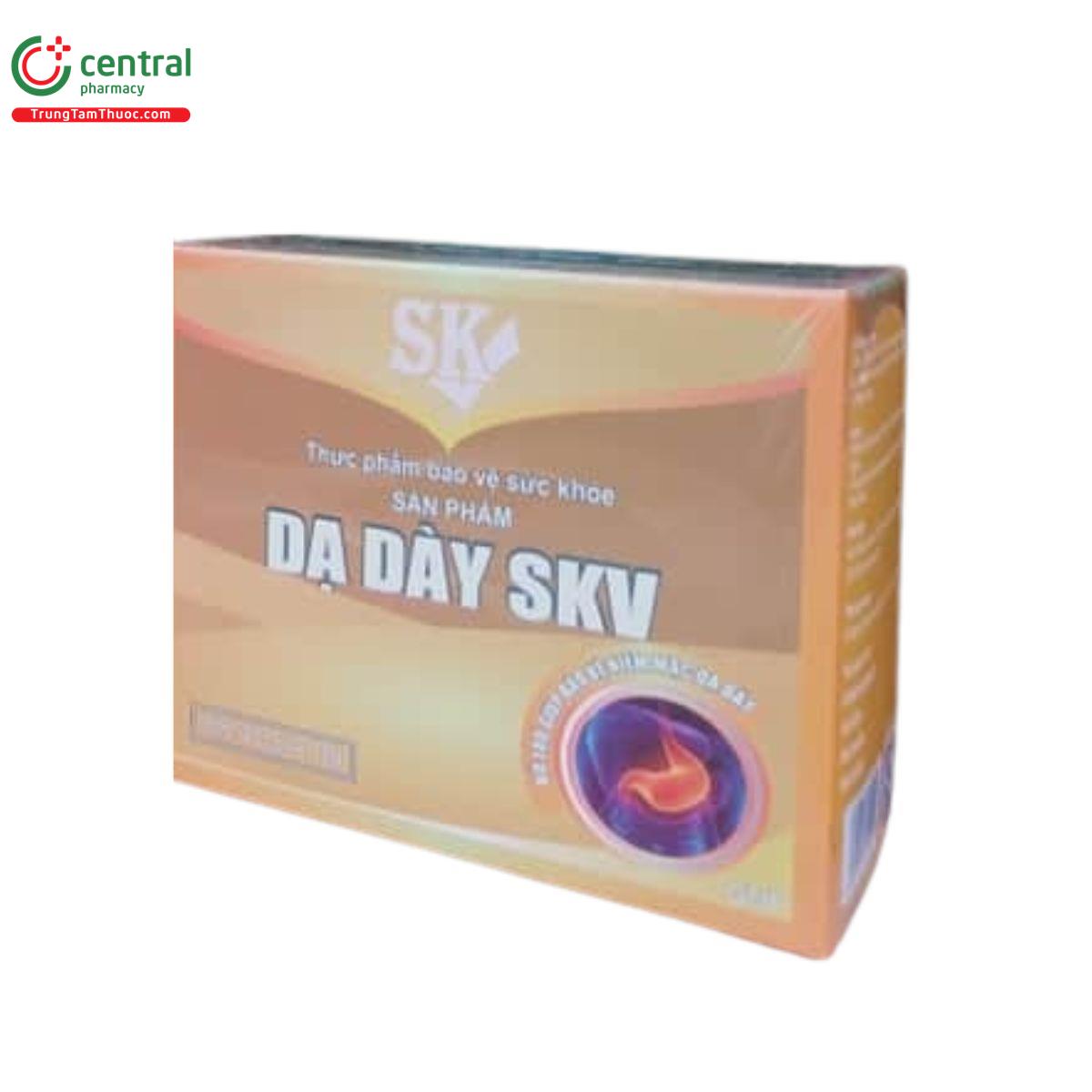 da day skv 2 Q6028