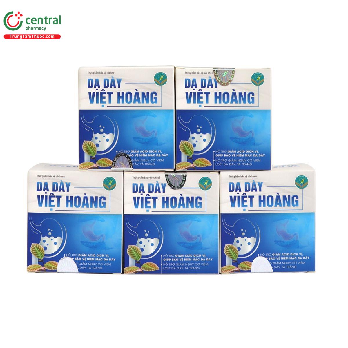 da day viet hoang 3 D1164