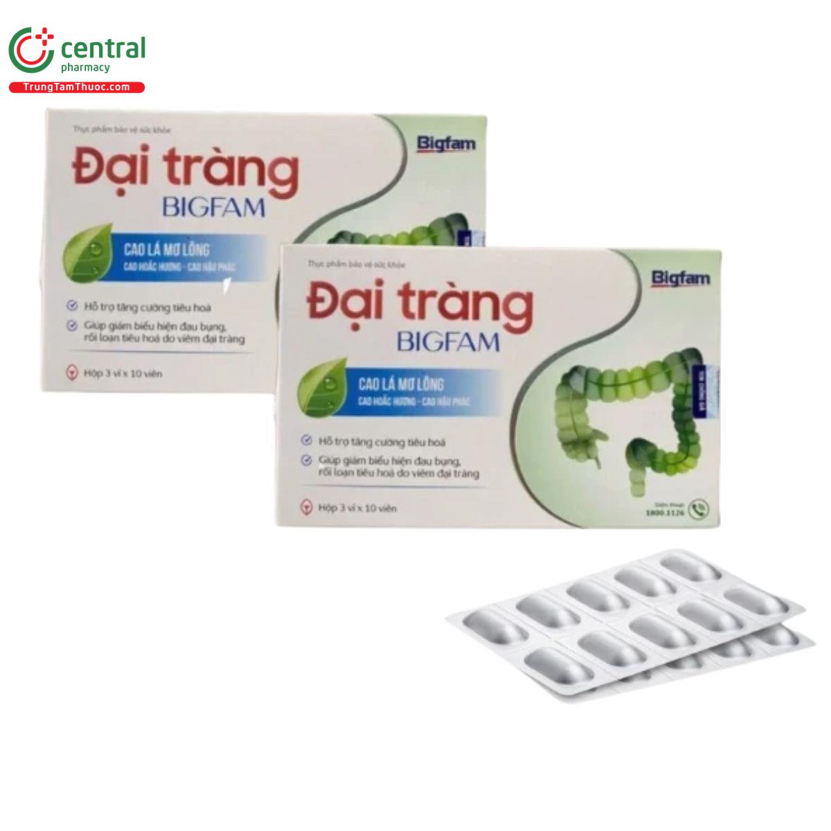 dai trang bigfam 1 E1502
