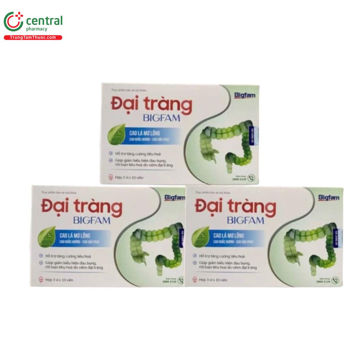dai trang bigfam 2 L4248