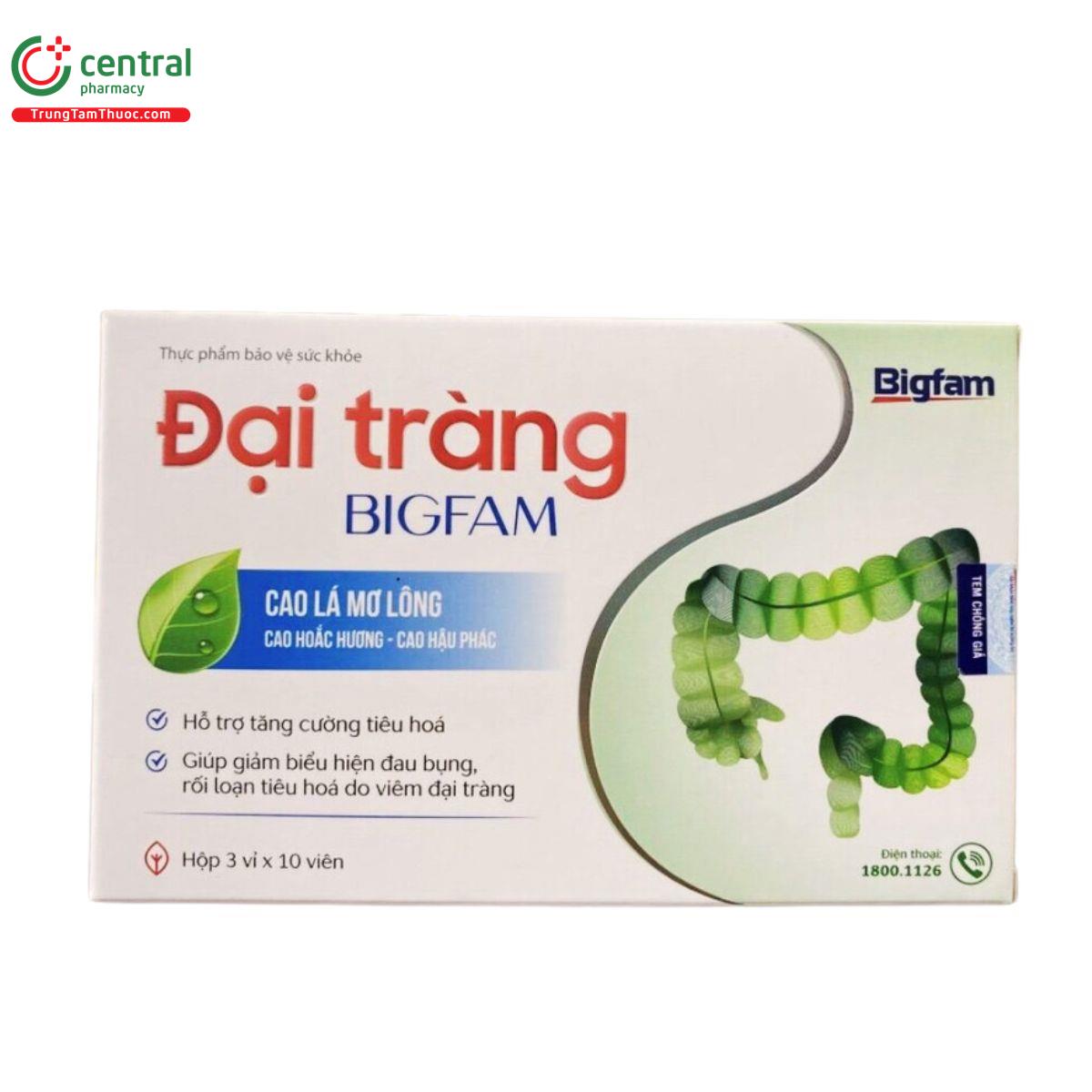 dai trang bigfam 7 A0532