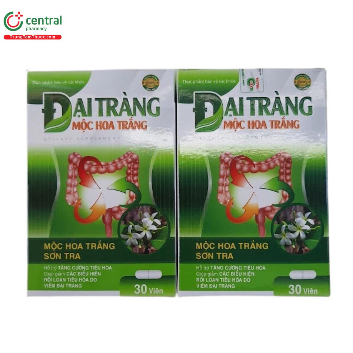 dai trang moc hoa trang 2 H2633