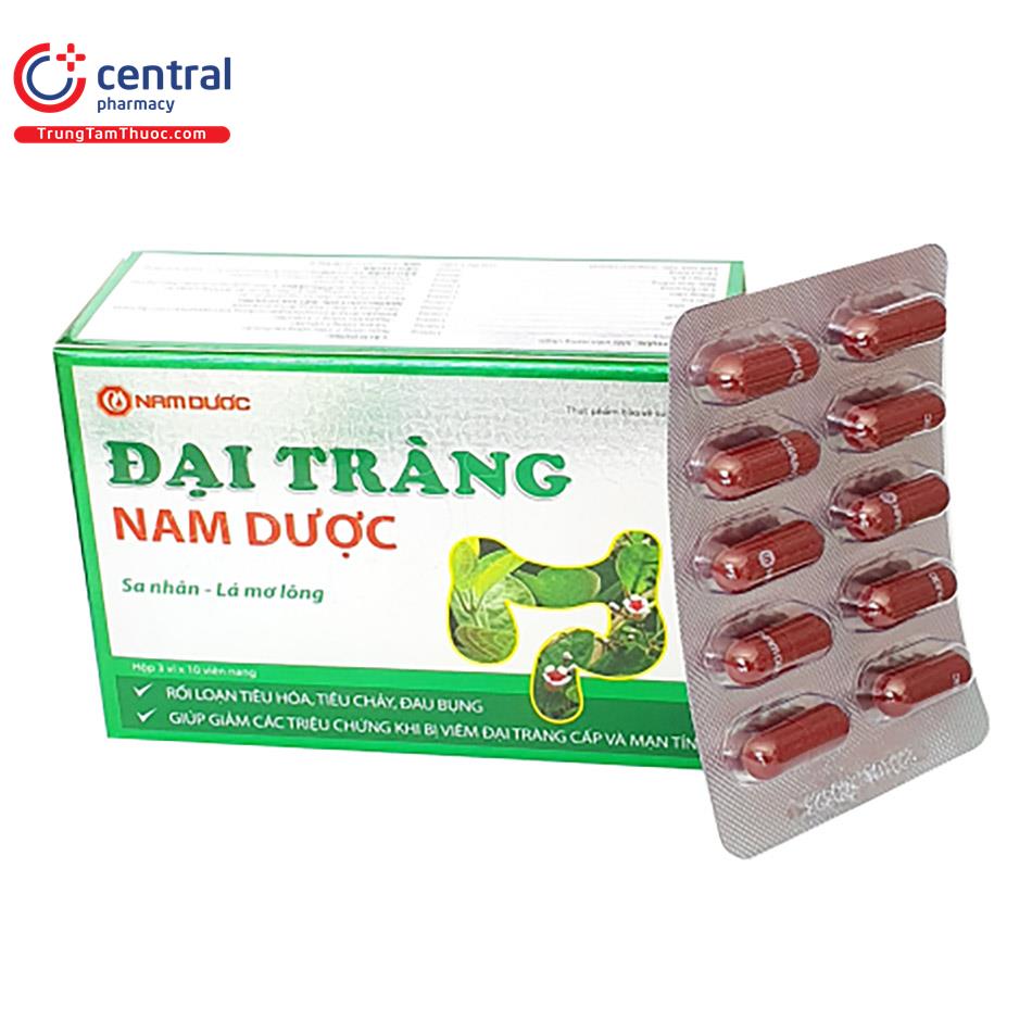 dai trang nam duoc 6 G2438