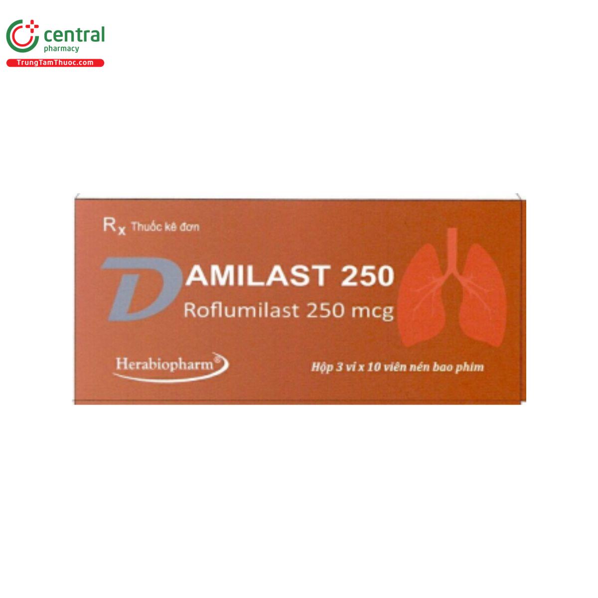 damilast 250mg 2 B0755