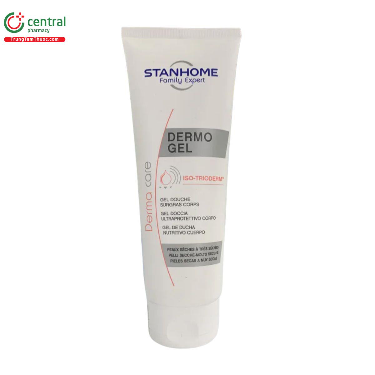 dermo gel stanhome 250ml 1 M4050
