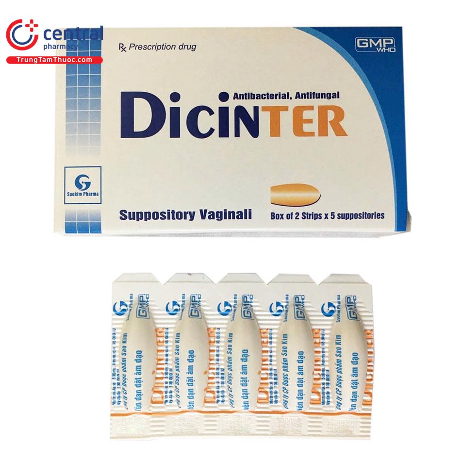 dicinter 2 E1534