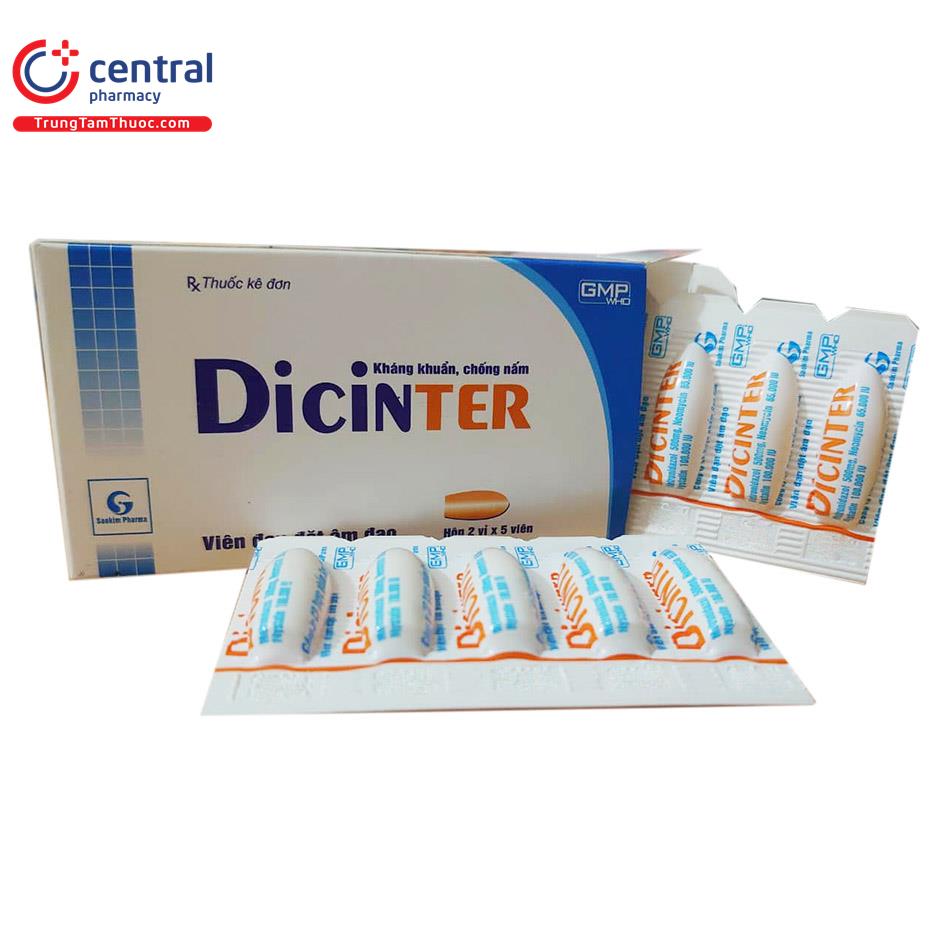 dicinter 6 P6115