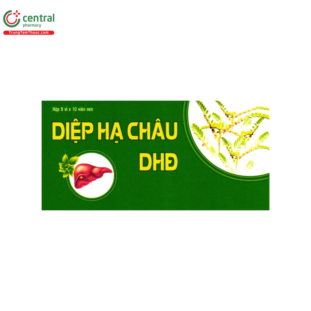 diep ha chau dhd 2 B0524 diep ha chau dhd 2 B0524