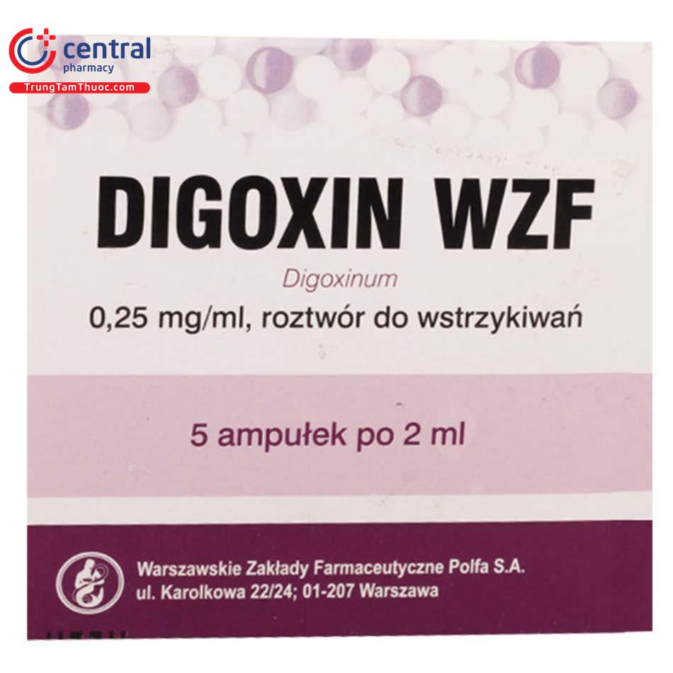 digoxin wzf 025mg2ml 2 M5264