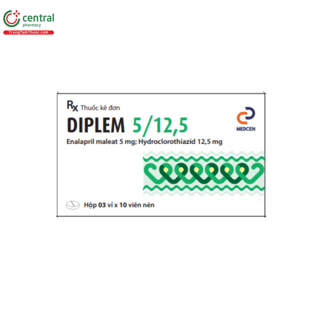diplem 2 E1403