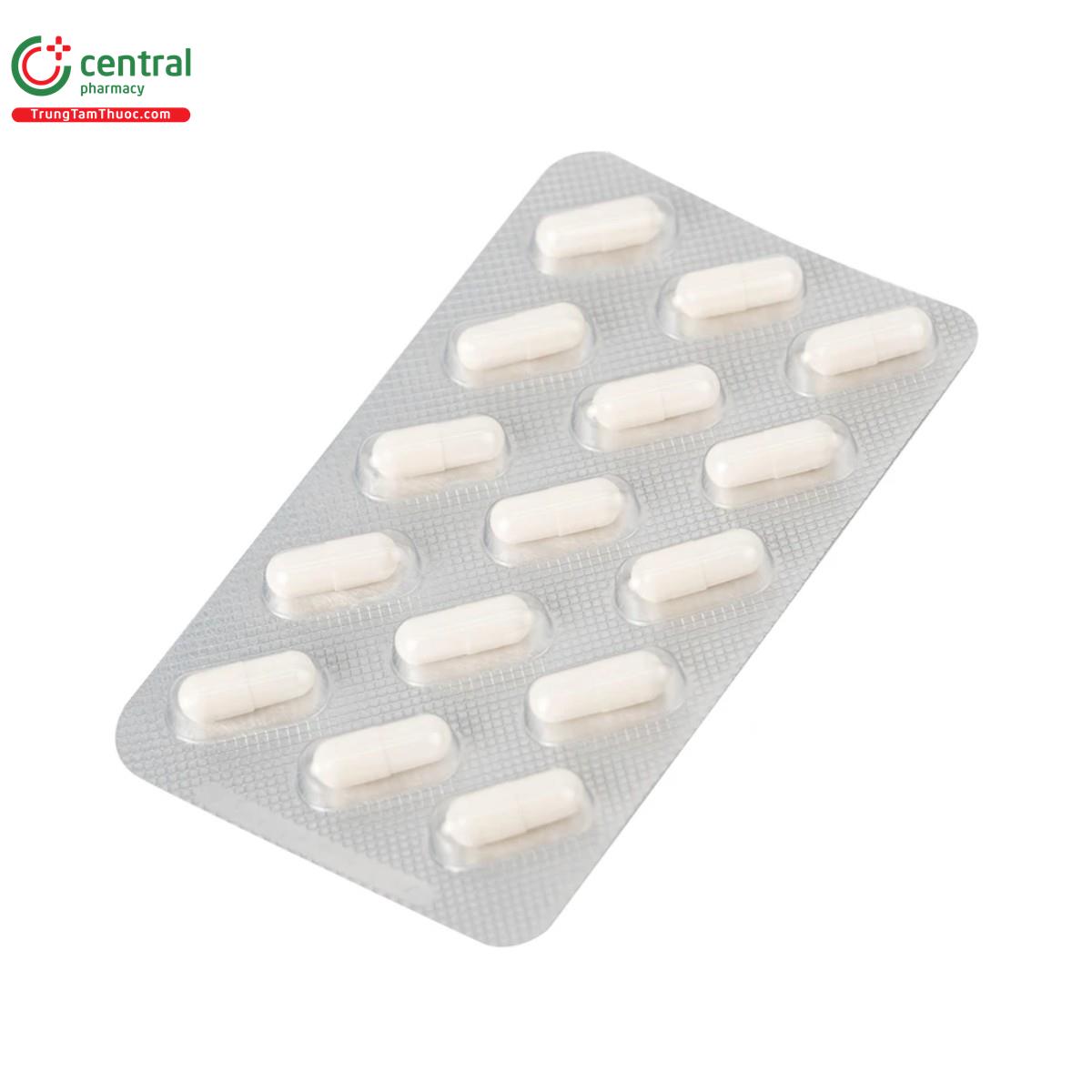 dogmakern 50mg capsules 11 H3745