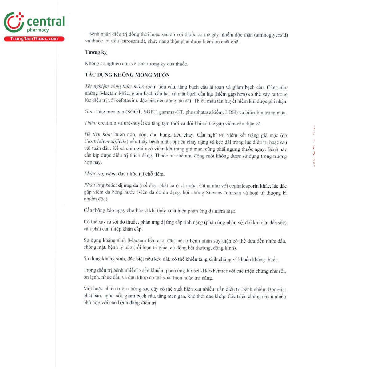 domfox 7 K4357 domfox 7 K4357