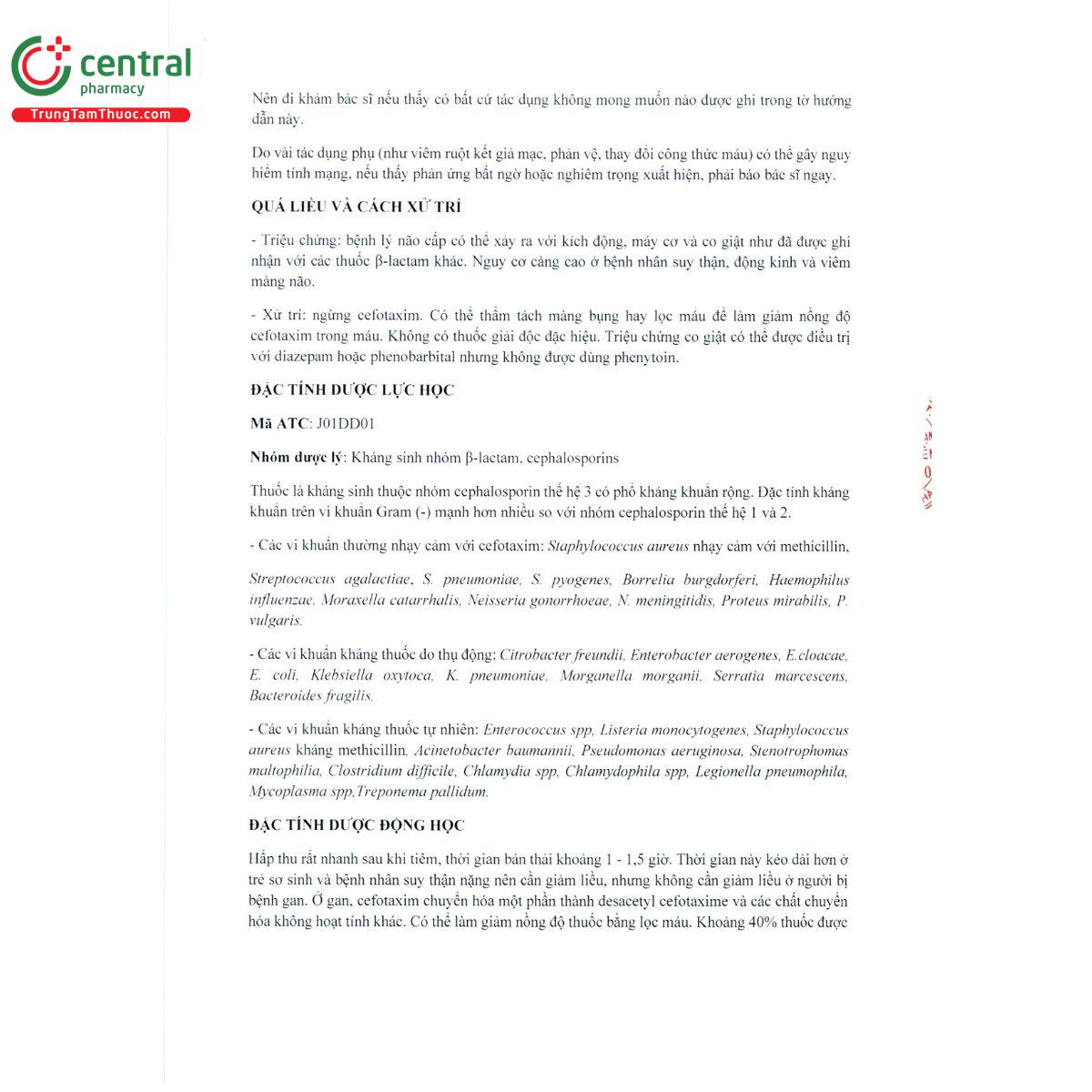 domfox 8 E1611 domfox 8 E1611