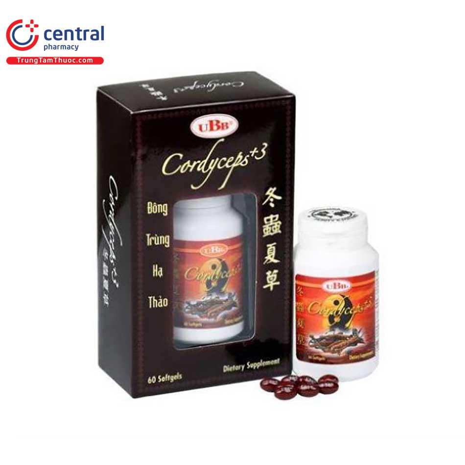 dong trung ha thao ubb cordyceps3 cordyceps 02 B0758