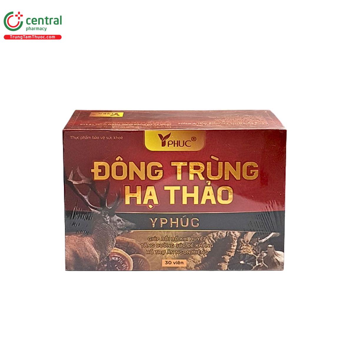 dong trung ha thao yphuc 1 J3583 dong trung ha thao yphuc 1 J3583