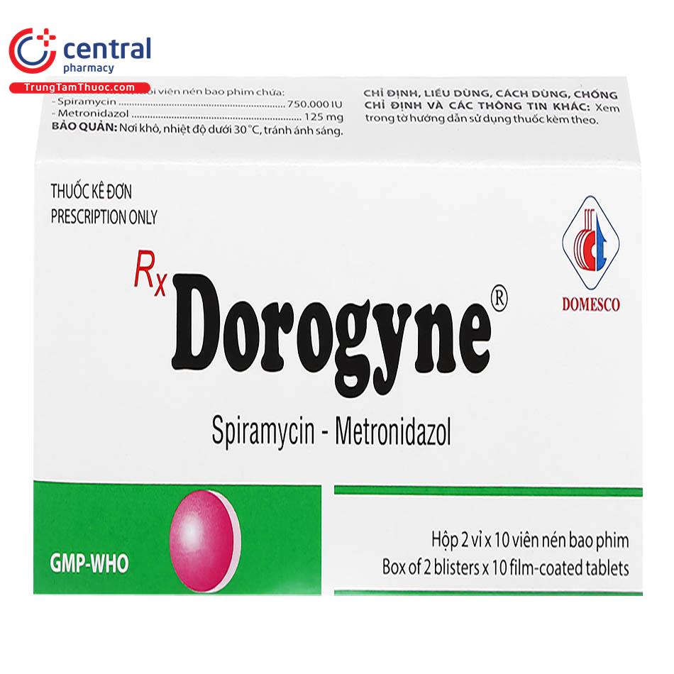 dorogyne 1 E1304