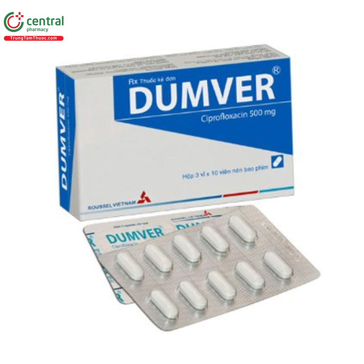 dumver 2 L4585