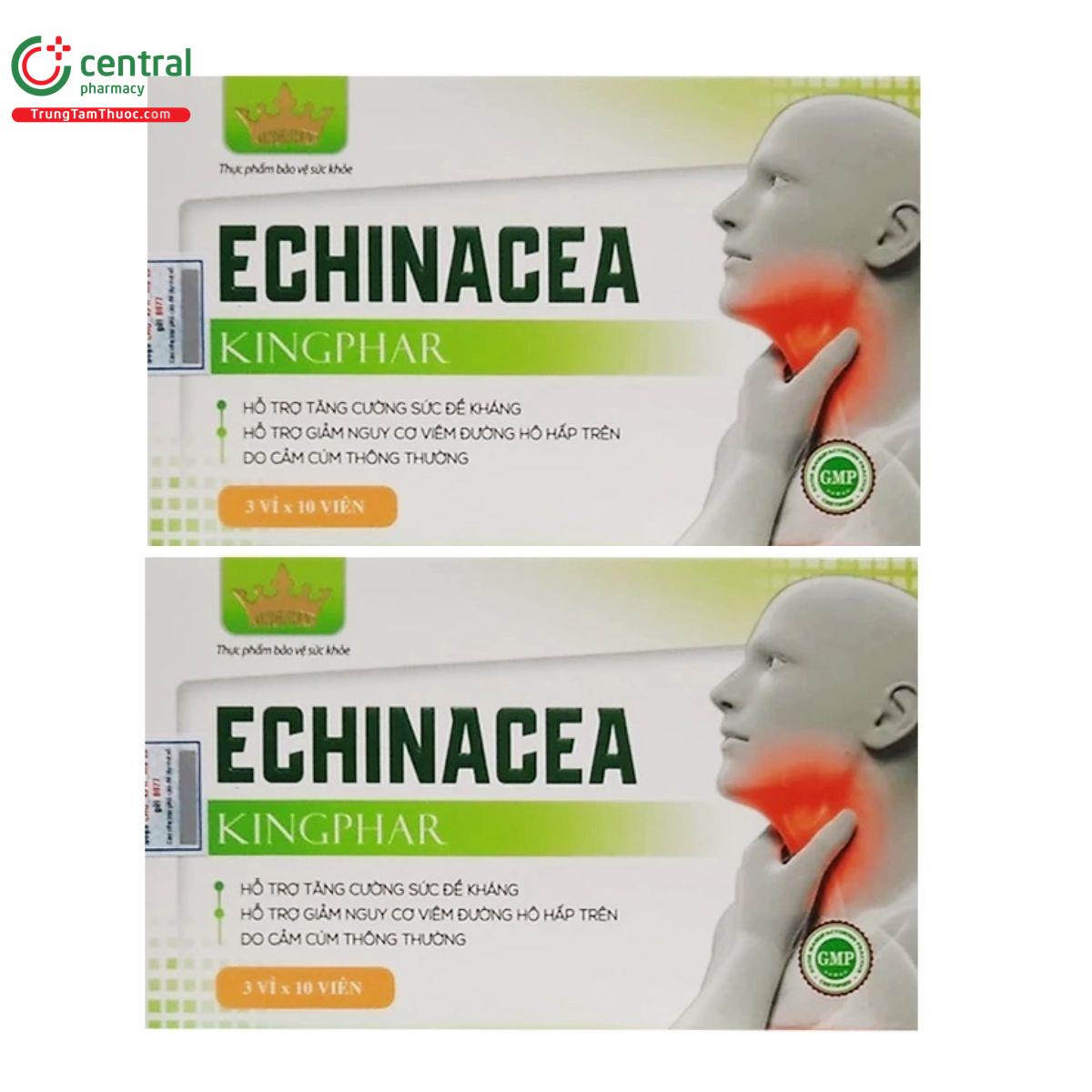 echinacea kingphar 1 D1087 echinacea kingphar 1 D1087