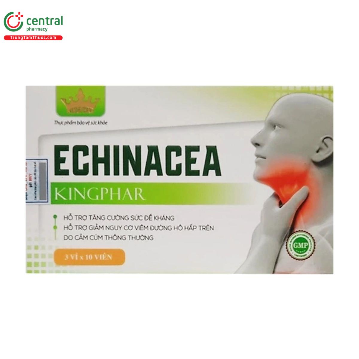 echinacea kingphar 2 S7341 echinacea kingphar 2 S7341