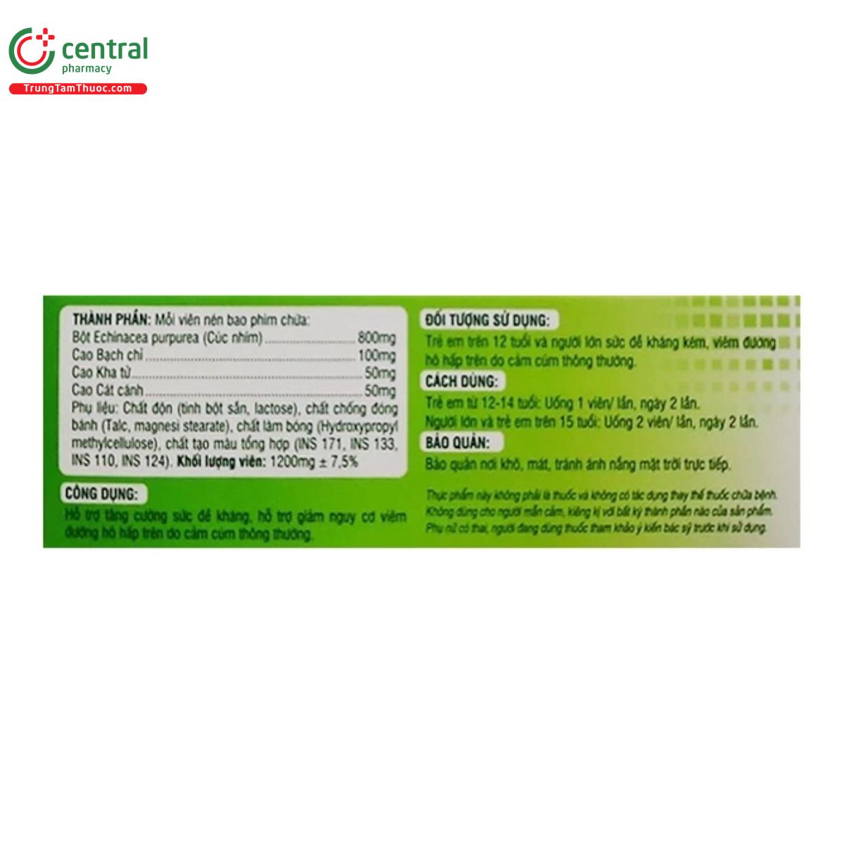 echinacea kingphar 3 P6262 echinacea kingphar 3 P6262