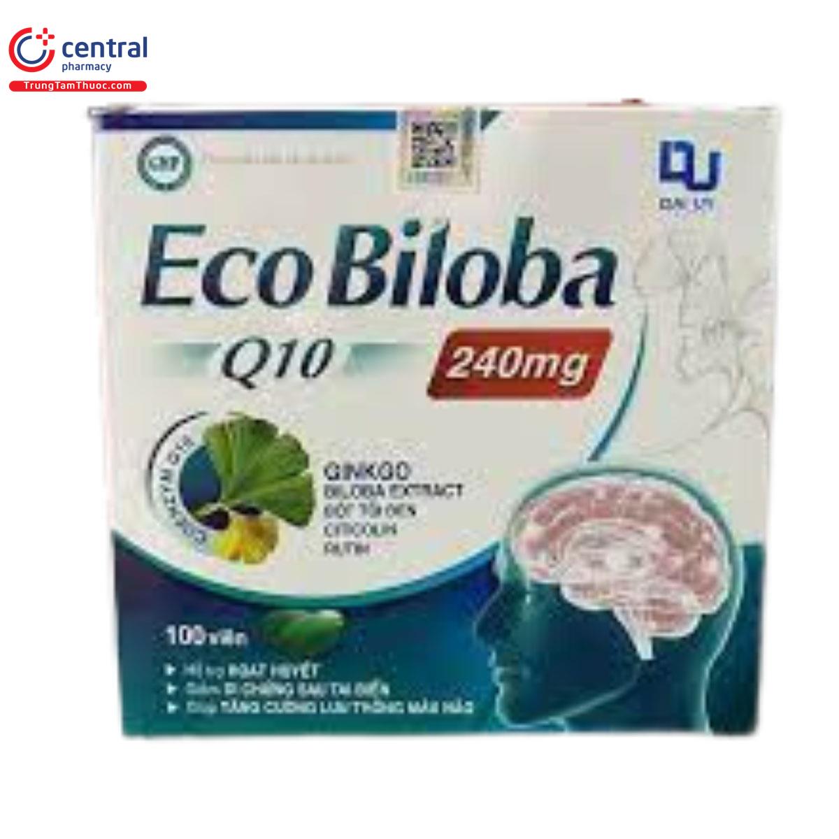 eco biloba q10 dai uy 4 K4207