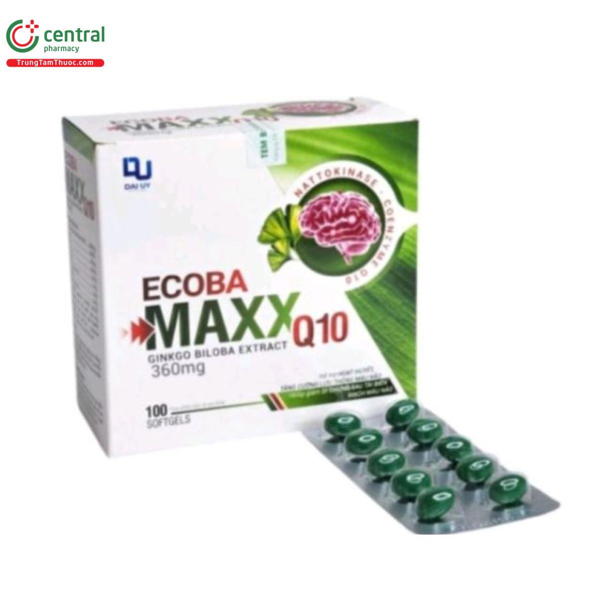 ecoba maxx q10 2 K4141