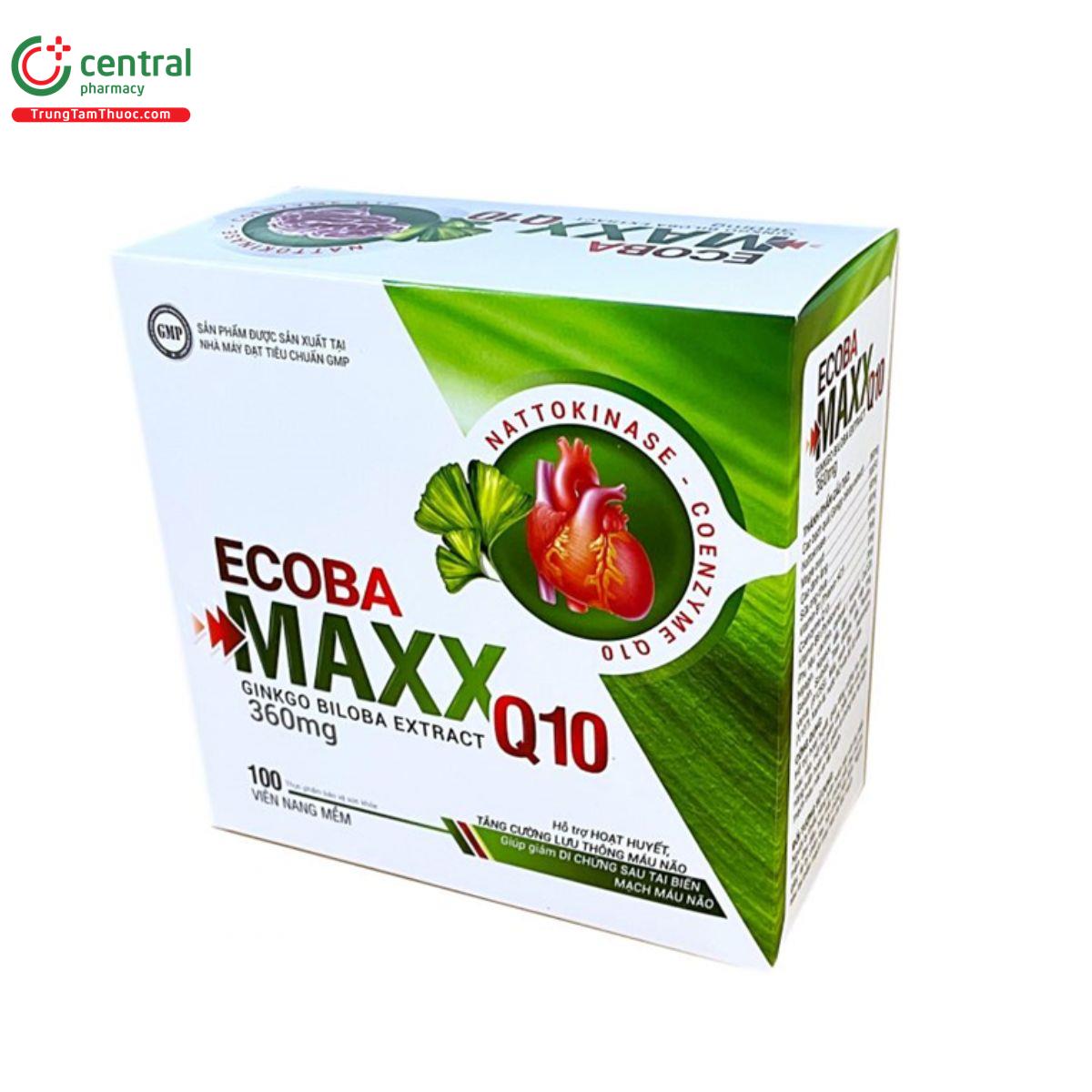 ecoba maxx q10 4 P6614