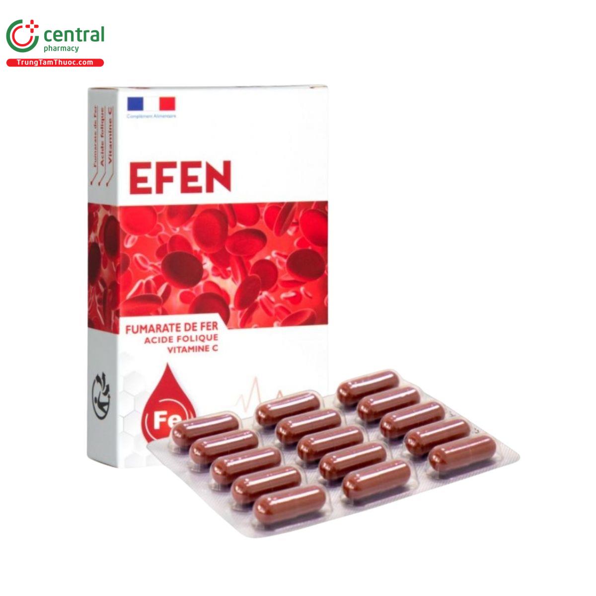 efen 1 J3621 efen 1 J3621