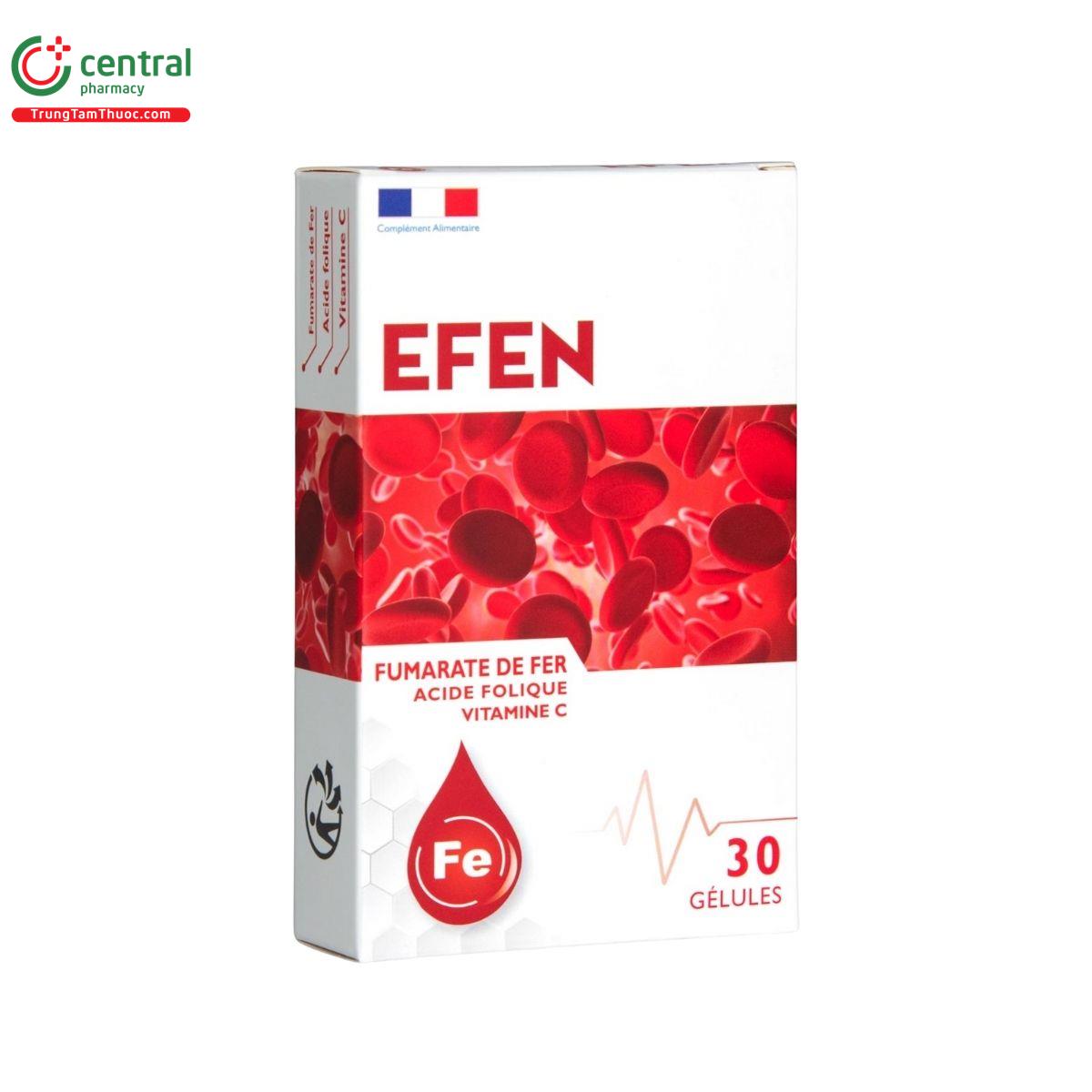 efen 3 D1062 efen 3 D1062