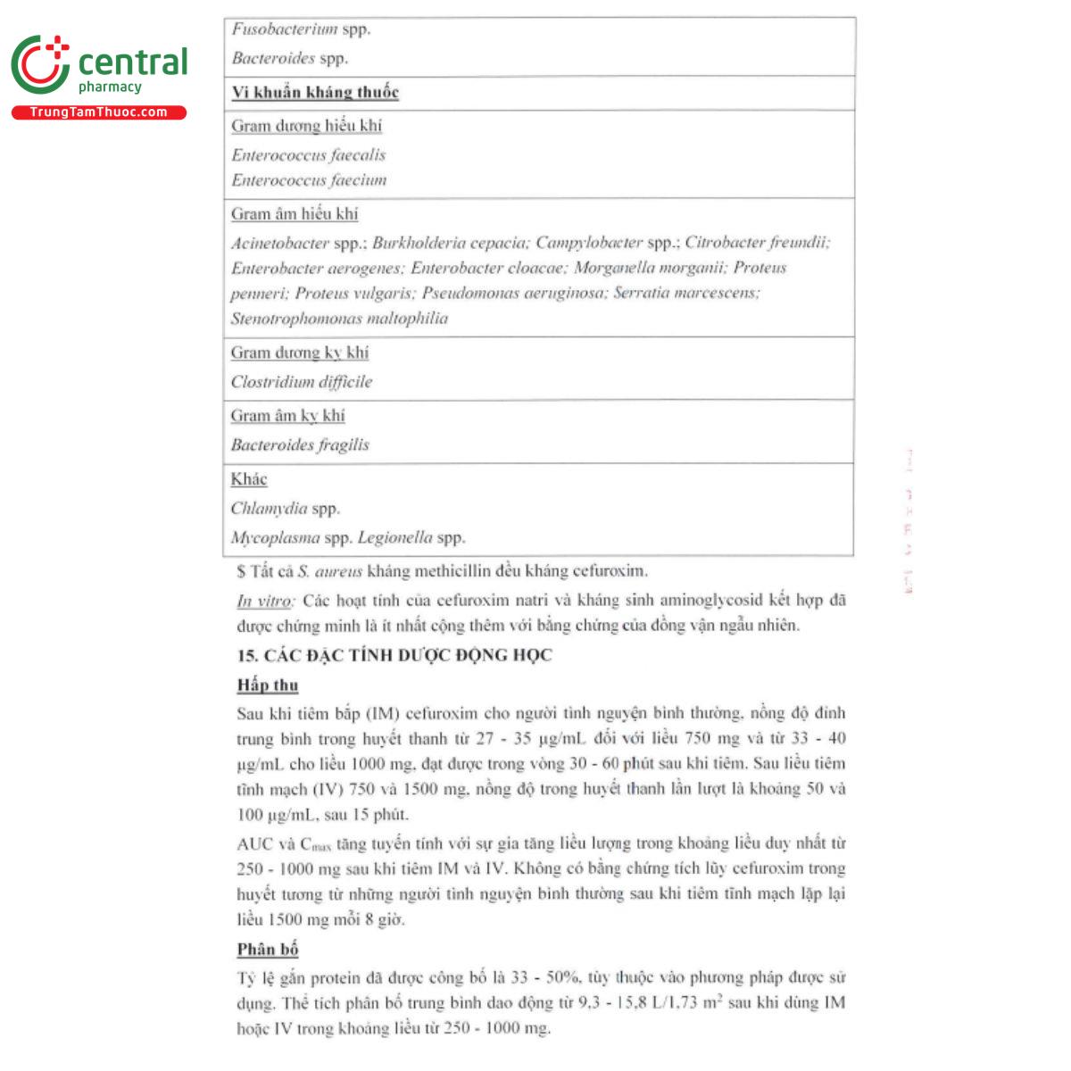 emixorat 250mg 13 T7215