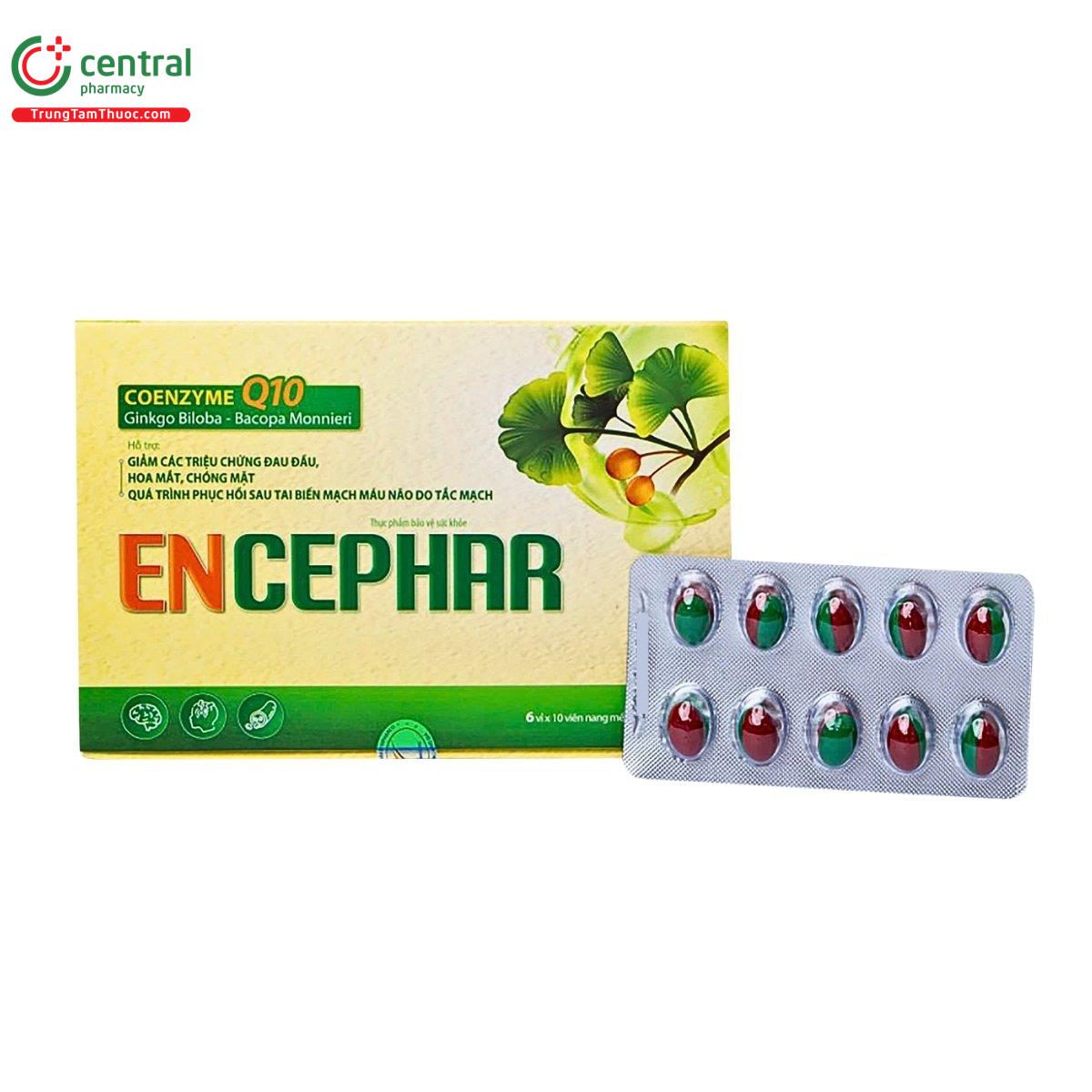 encephar 1 V8765 encephar 1 V8765