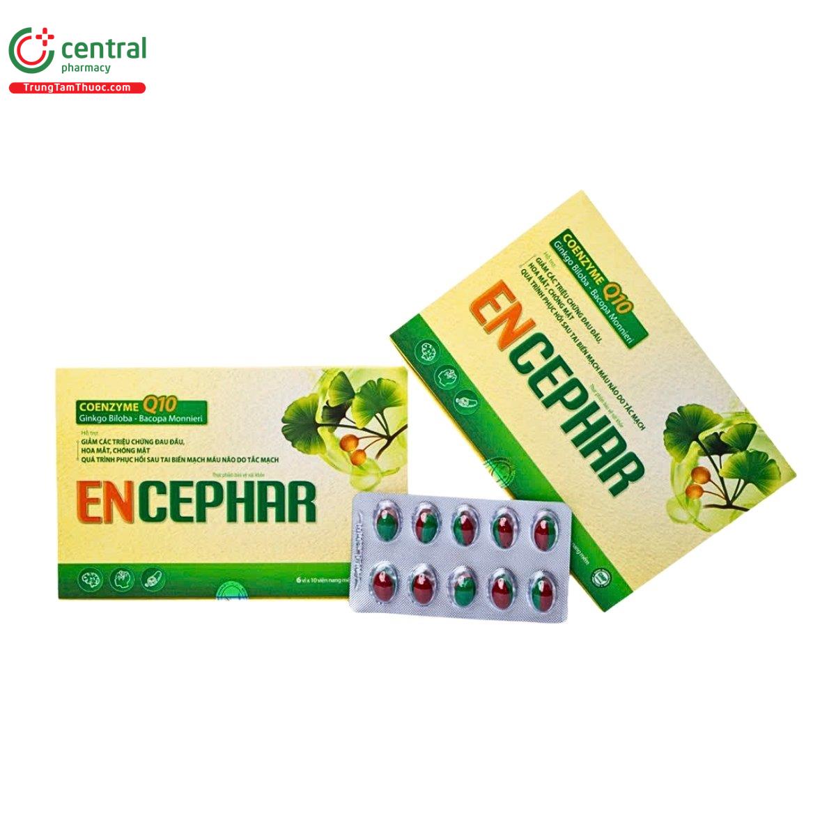 encephar 2 A0843 encephar 2 A0843