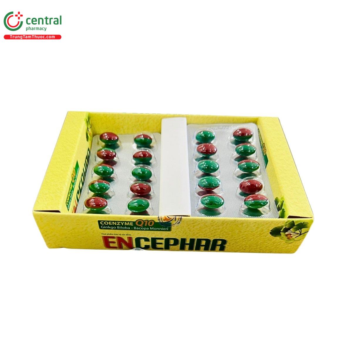 encephar 3 Q6205 encephar 3 Q6205