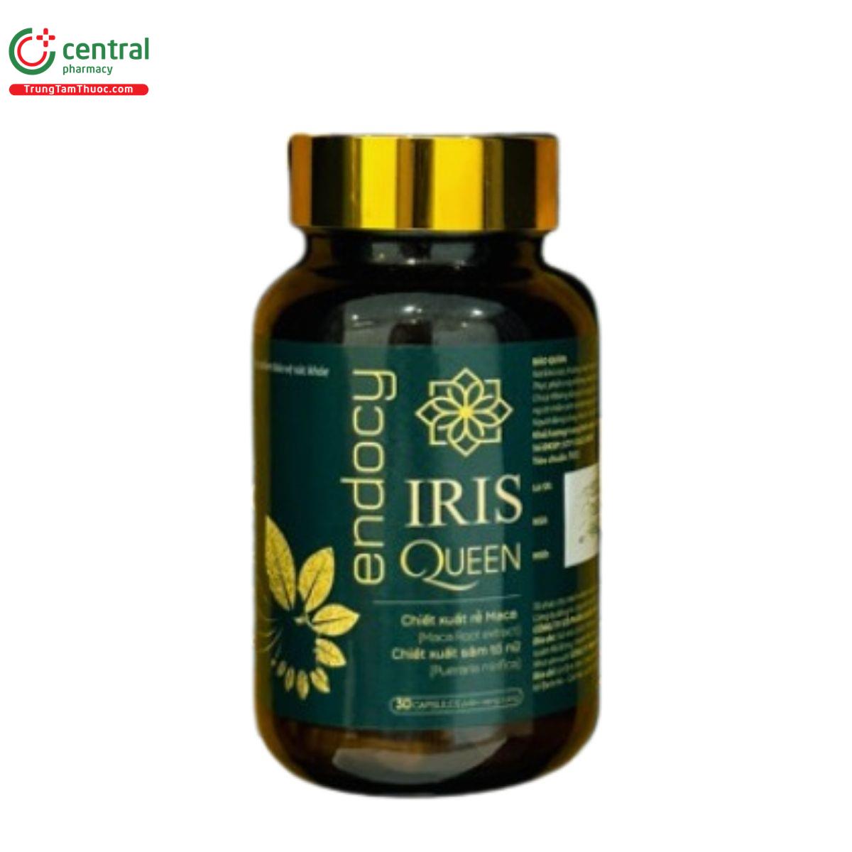 endocy iris queen 5 K4742 endocy iris queen 5 K4742