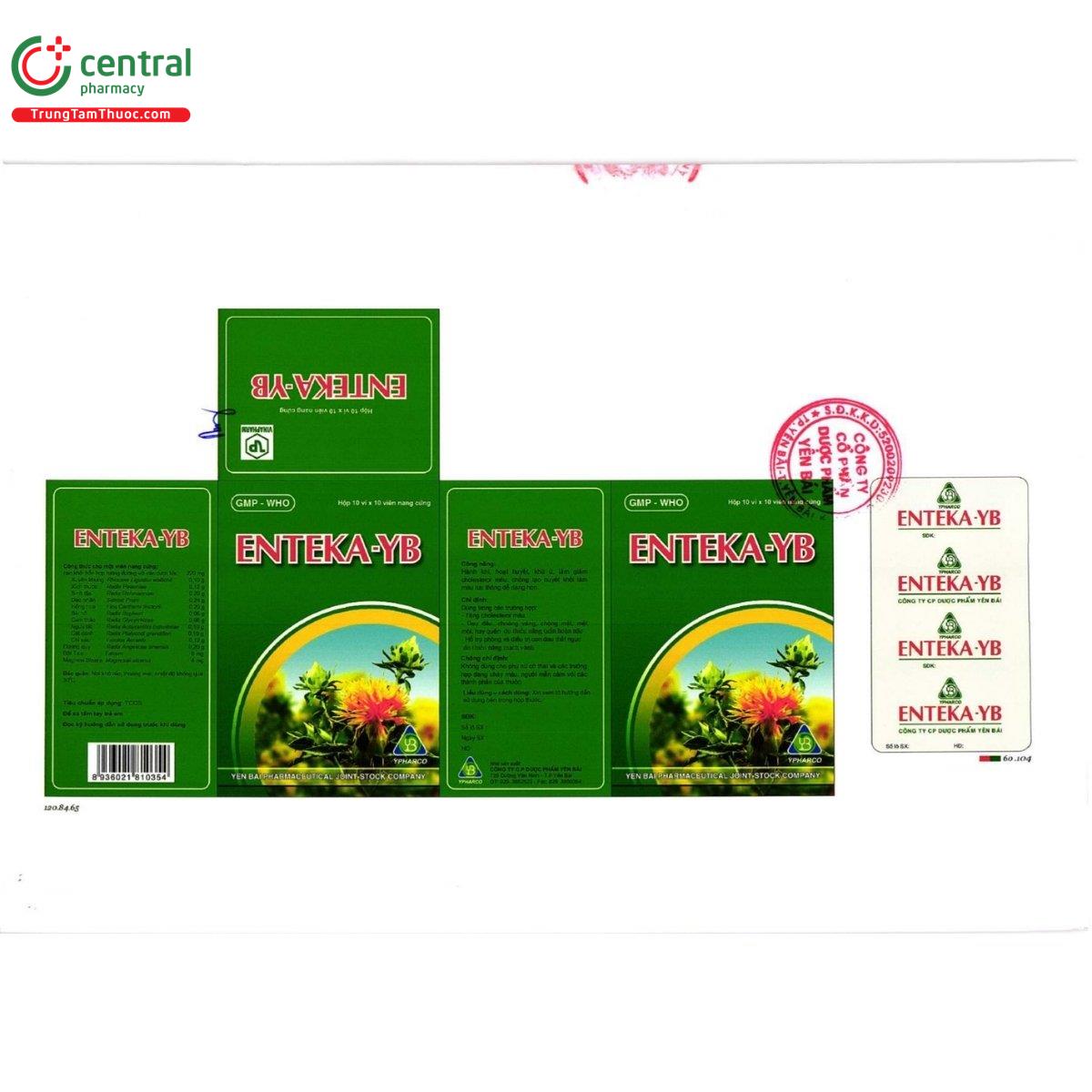 enteka yb 8 G2010 enteka yb 8 G2010