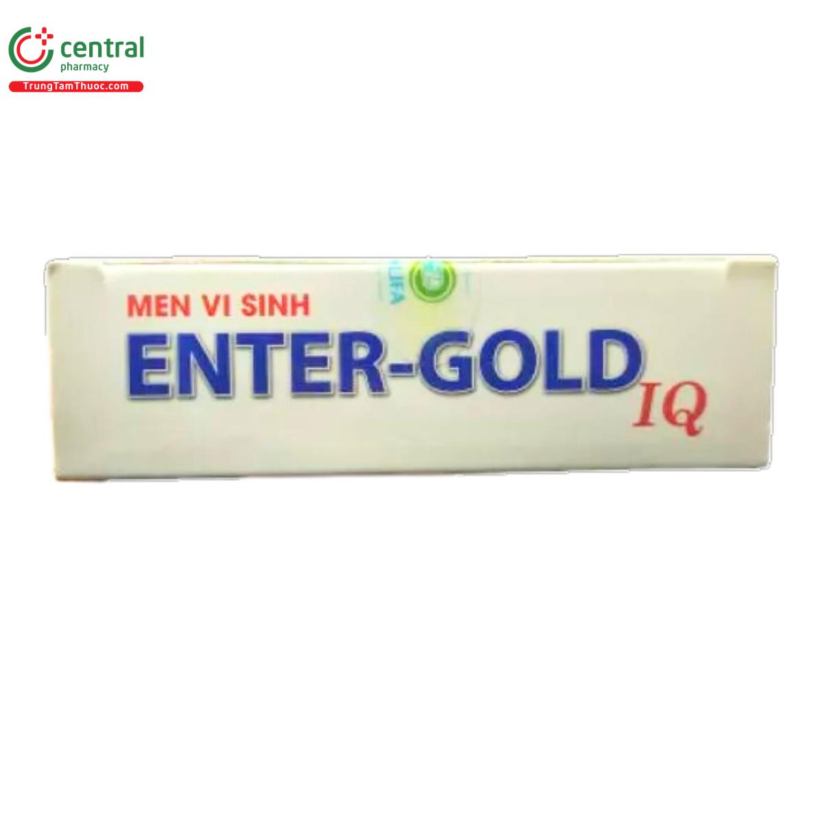 enter gold iq 5 I3105