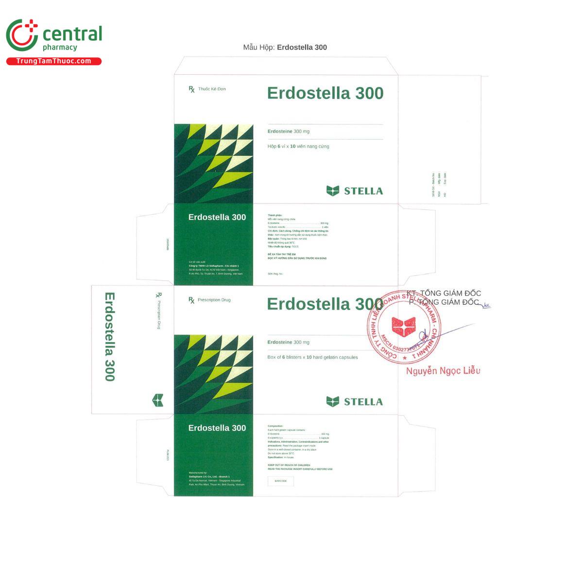 erdostella 300mg 1 F2062