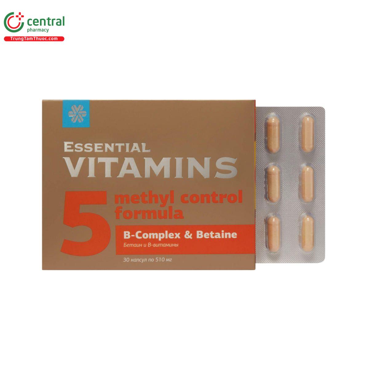 essential vitamins b complex betaine 1 U8367 essential vitamins b complex betaine 1 U8367