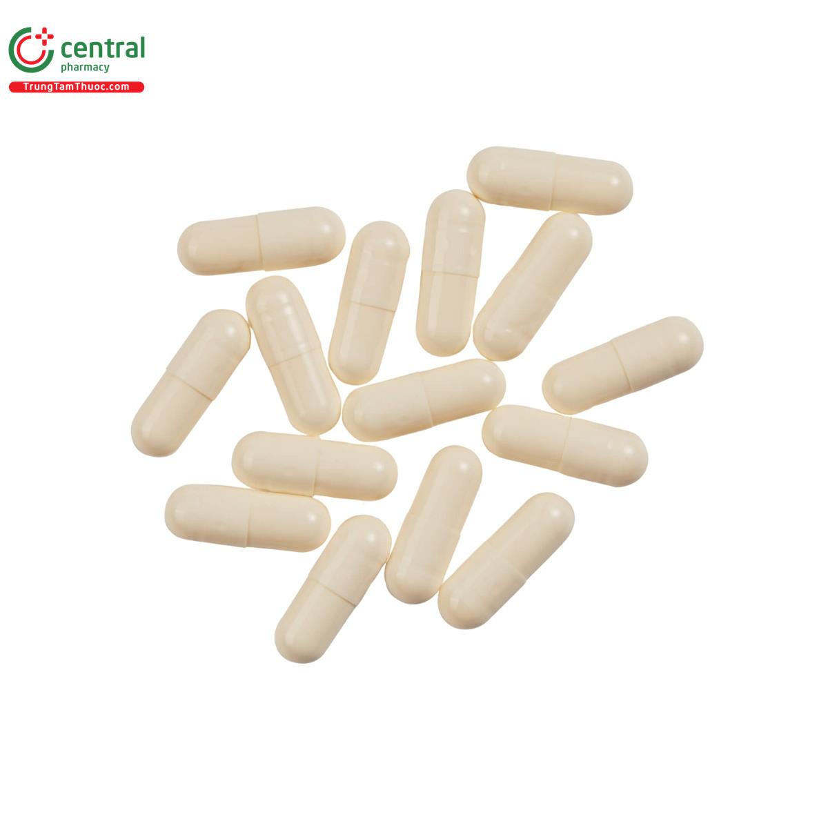 essential vitamins glucosamine chondroitin 5 G2030