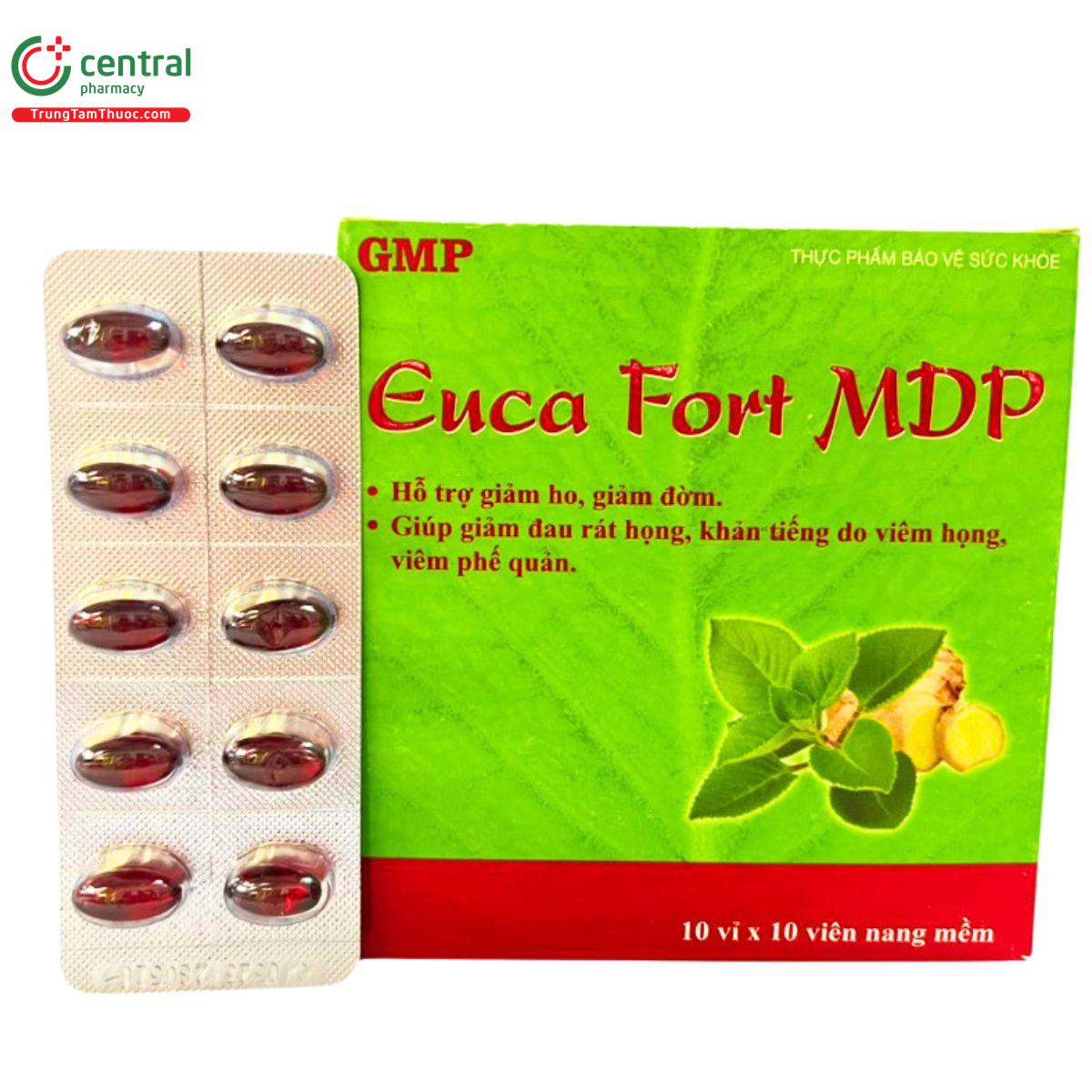 euca fort mdp 5 L4616