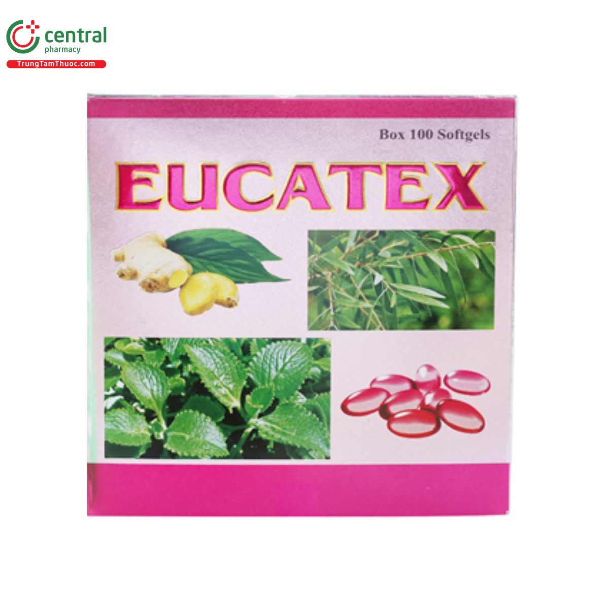 eucatex hong 31 T7711