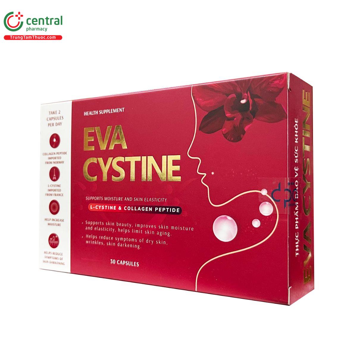 eva cystine 3 K4377