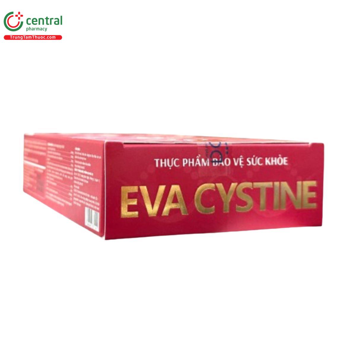 eva cystine 4 V8180