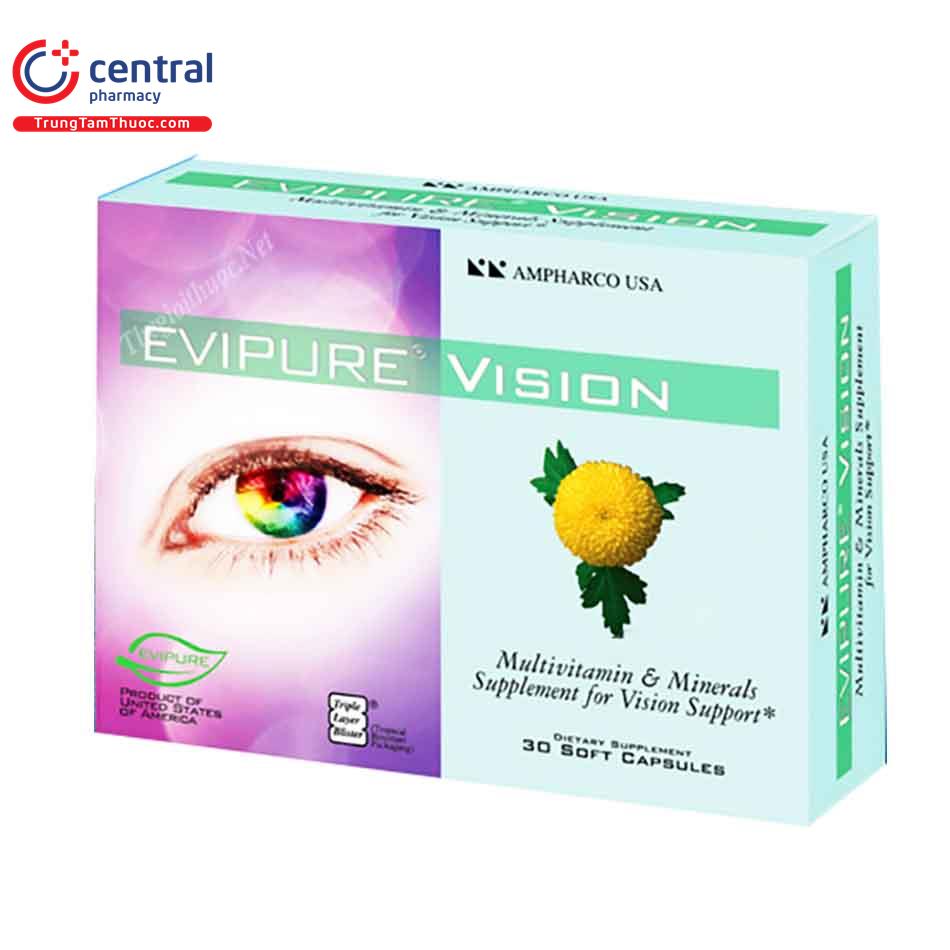 evipure vision 1 I3716