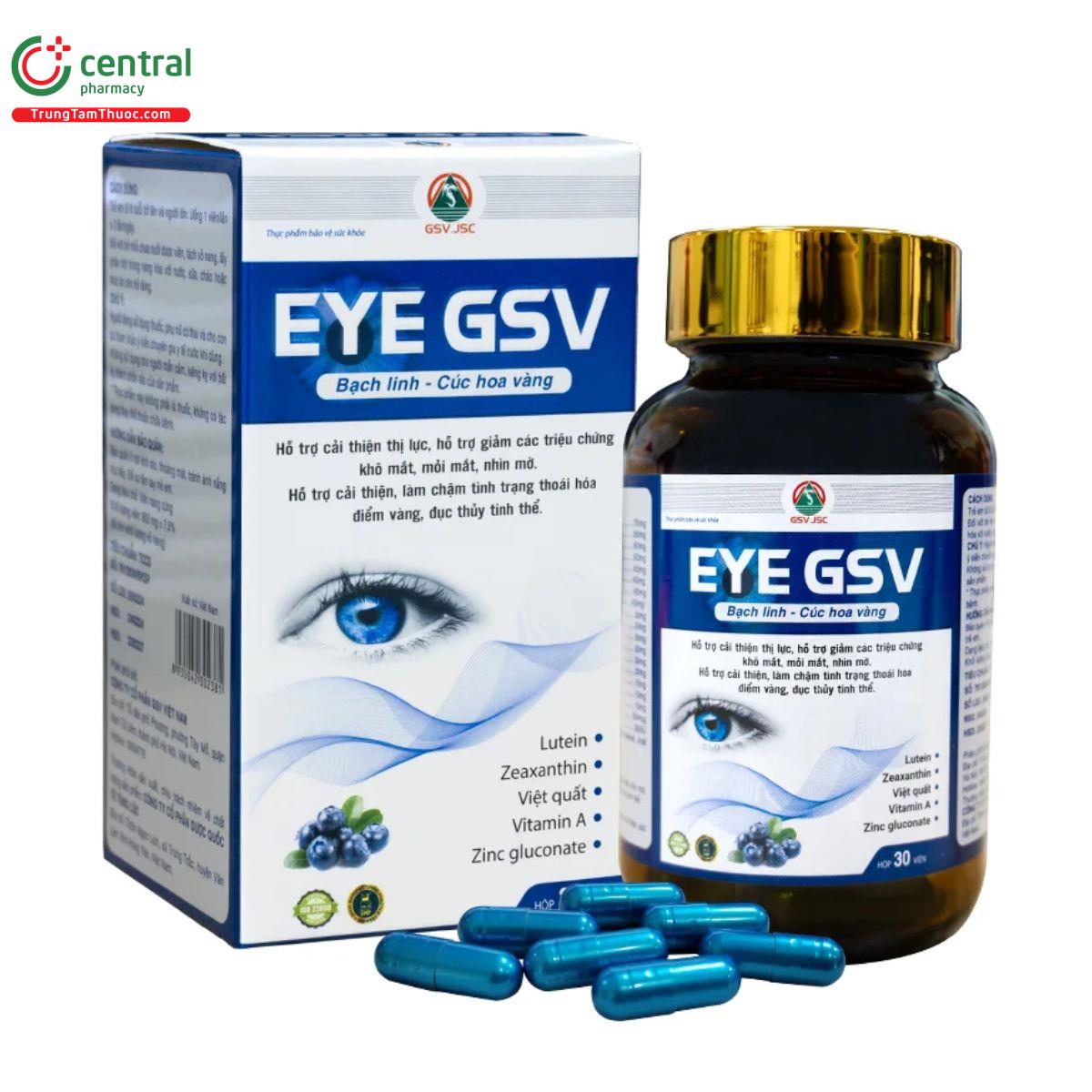 eye gsv 1 E1751 eye gsv 1 E1751