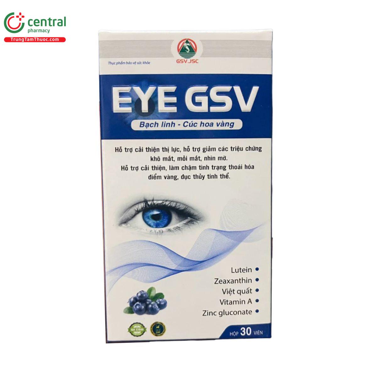 eye gsv 3 V8102 eye gsv 3 V8102