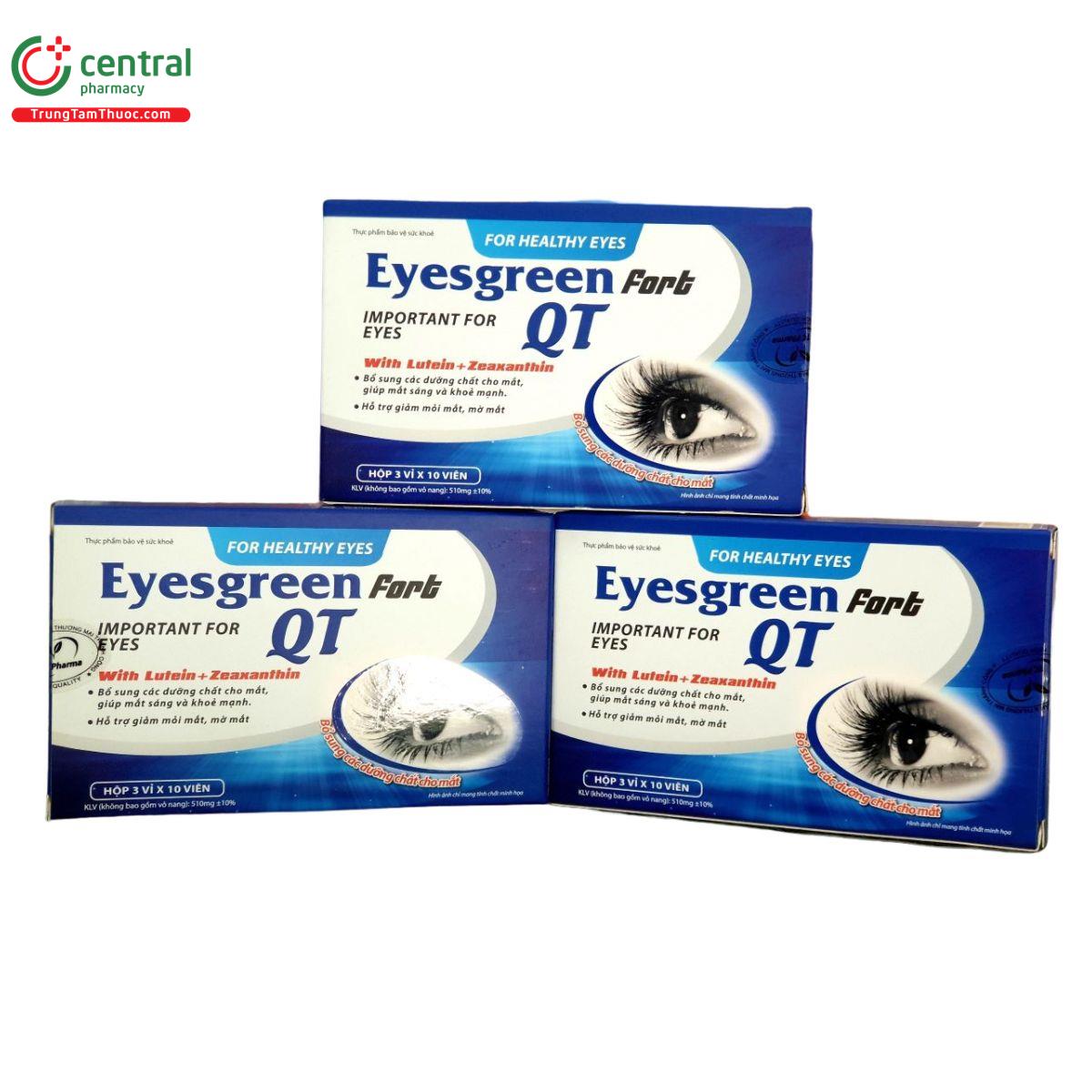 eyesgreen fort qt 2 U8810