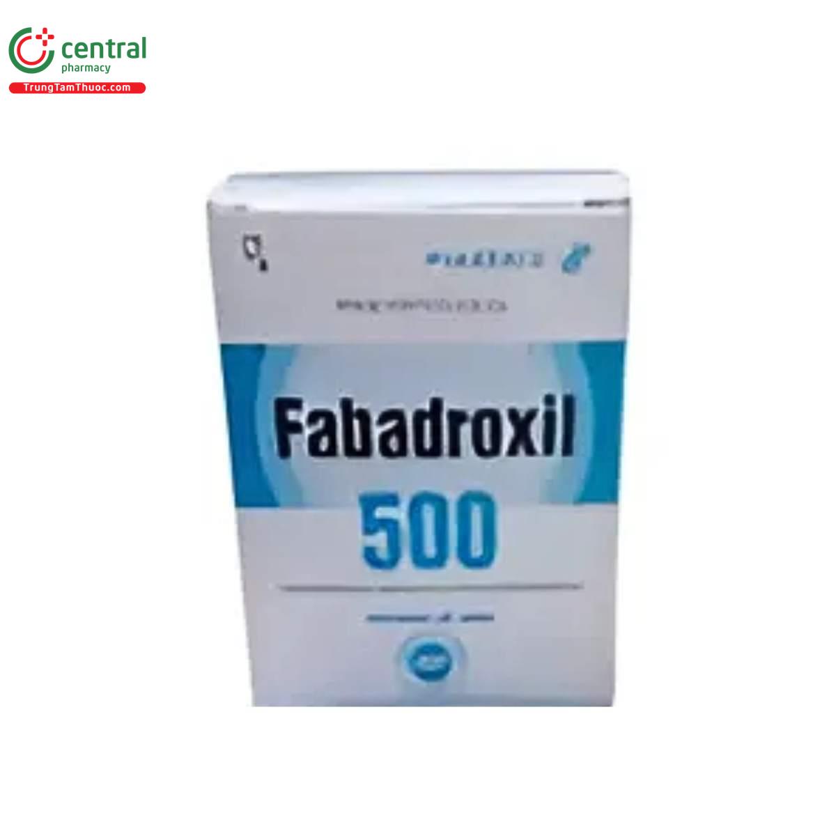fabadroxil 500 2 E1872