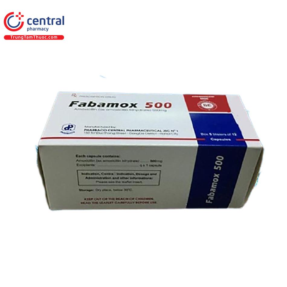 fabamox 500 2 P6430